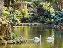 Parque Nacional de Sintra-Cascais