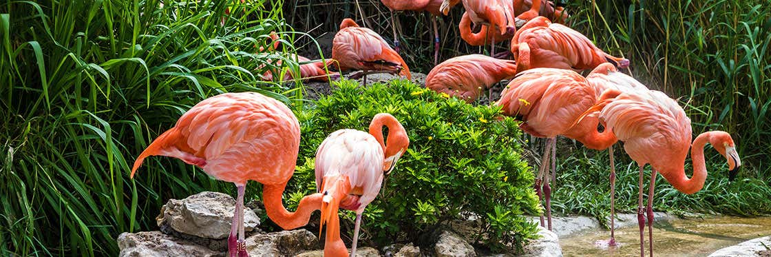 Jardim Zoológico de Lisboa