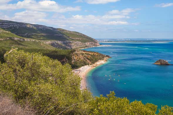 Tour pela Arrábida + Degustação de vinhos